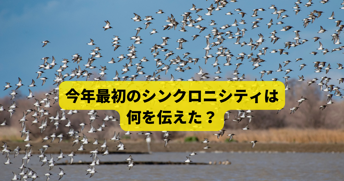 今年最初のシンクロニシティは何を伝えた？